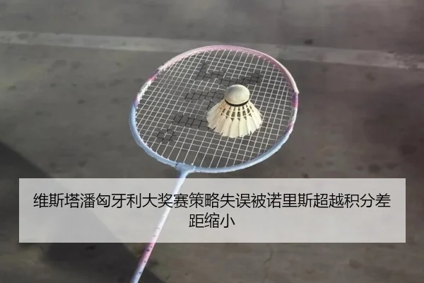 wei-si-ta-pan-xiong-ya-li-da-jiang-sai-ce-lve-shi-wu-bei-nuo-li-si-chao-yue-ji-fen-cha-ju-suo-xiao-3-411.jpg